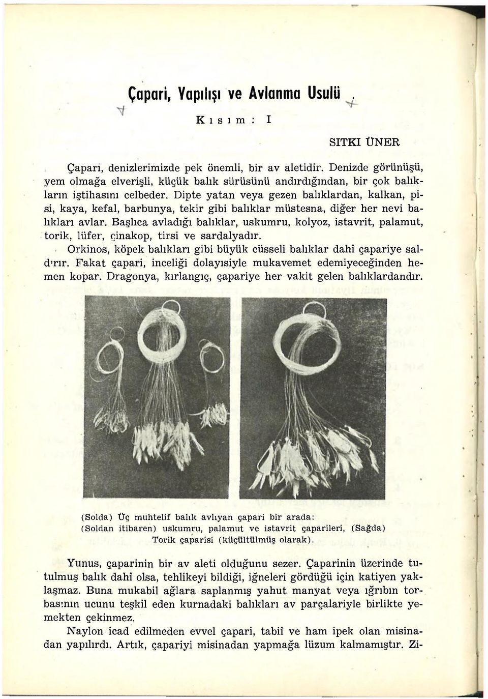 Dipte yatan veya gezen balıklardan, kalkan, pisi, kaya, kefal, barbunya, tekir gibi balıklar müstesna, diğer her nevi balıkları avlar.