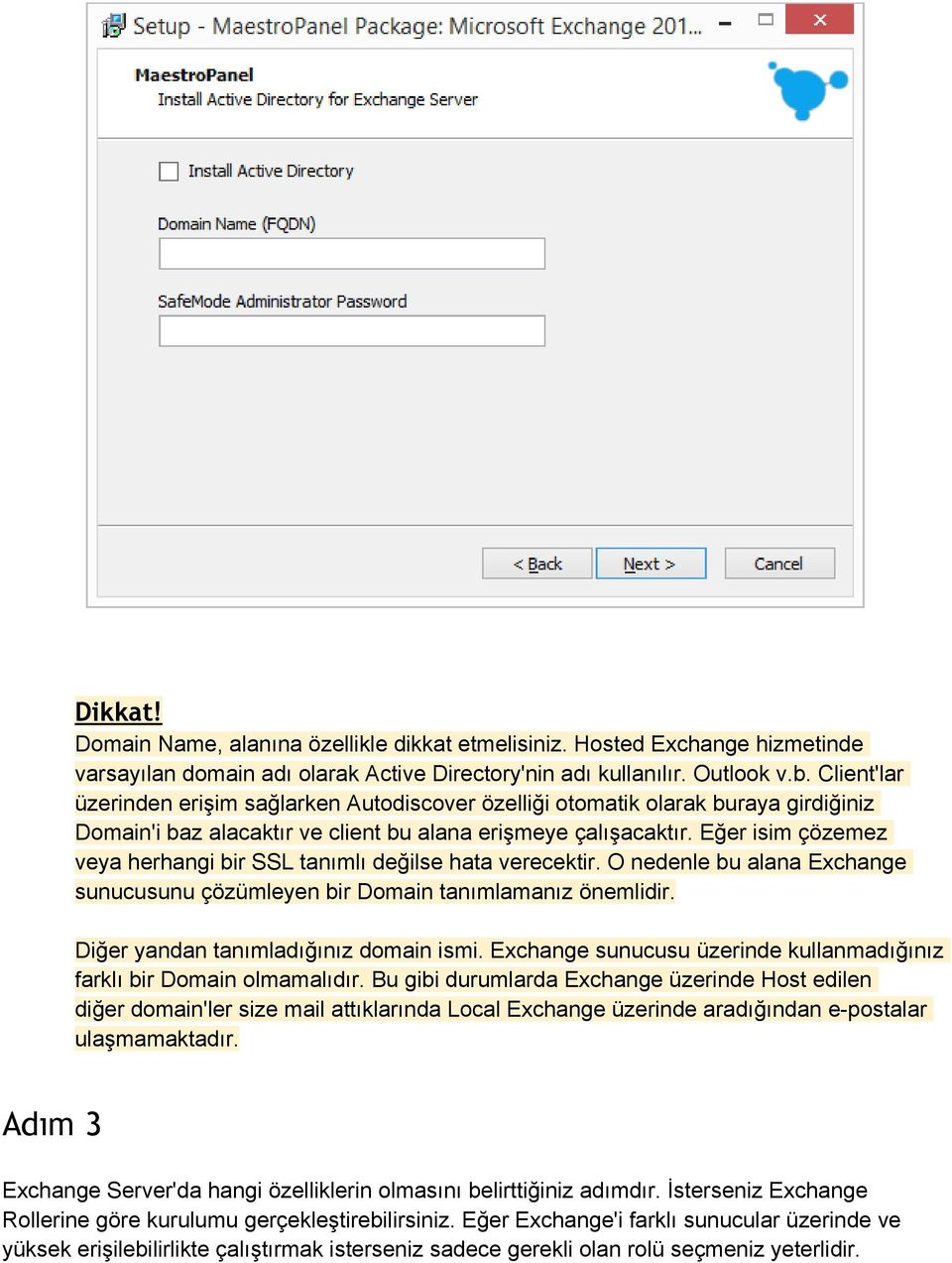 Eğer isim çözemez veya herhangi bir SSL tanımlı değilse hata verecektir. O nedenle bu alana Exchange sunucusunu çözümleyen bir Domain tanımlamanız önemlidir. Diğer yandan tanımladığınız domain ismi.