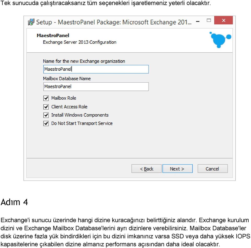 Exchange kurulum dizini ve Exchange Mailbox Database'lerini ayrı dizinlere verebilirsiniz.