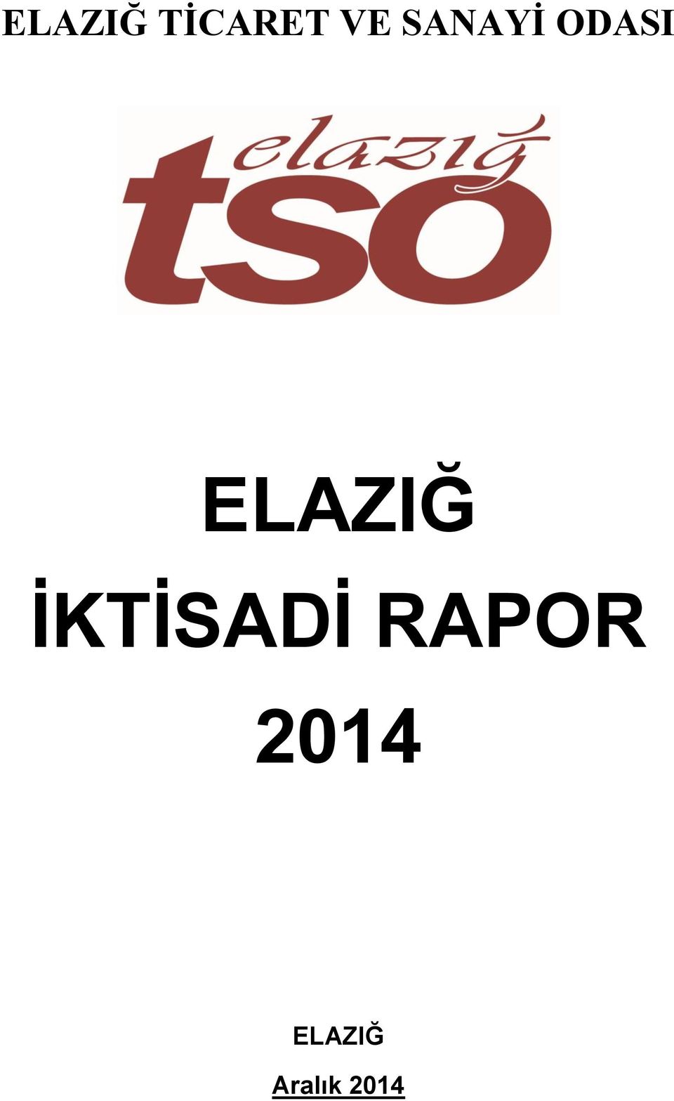 ELAZIĞ İKTİSADİ