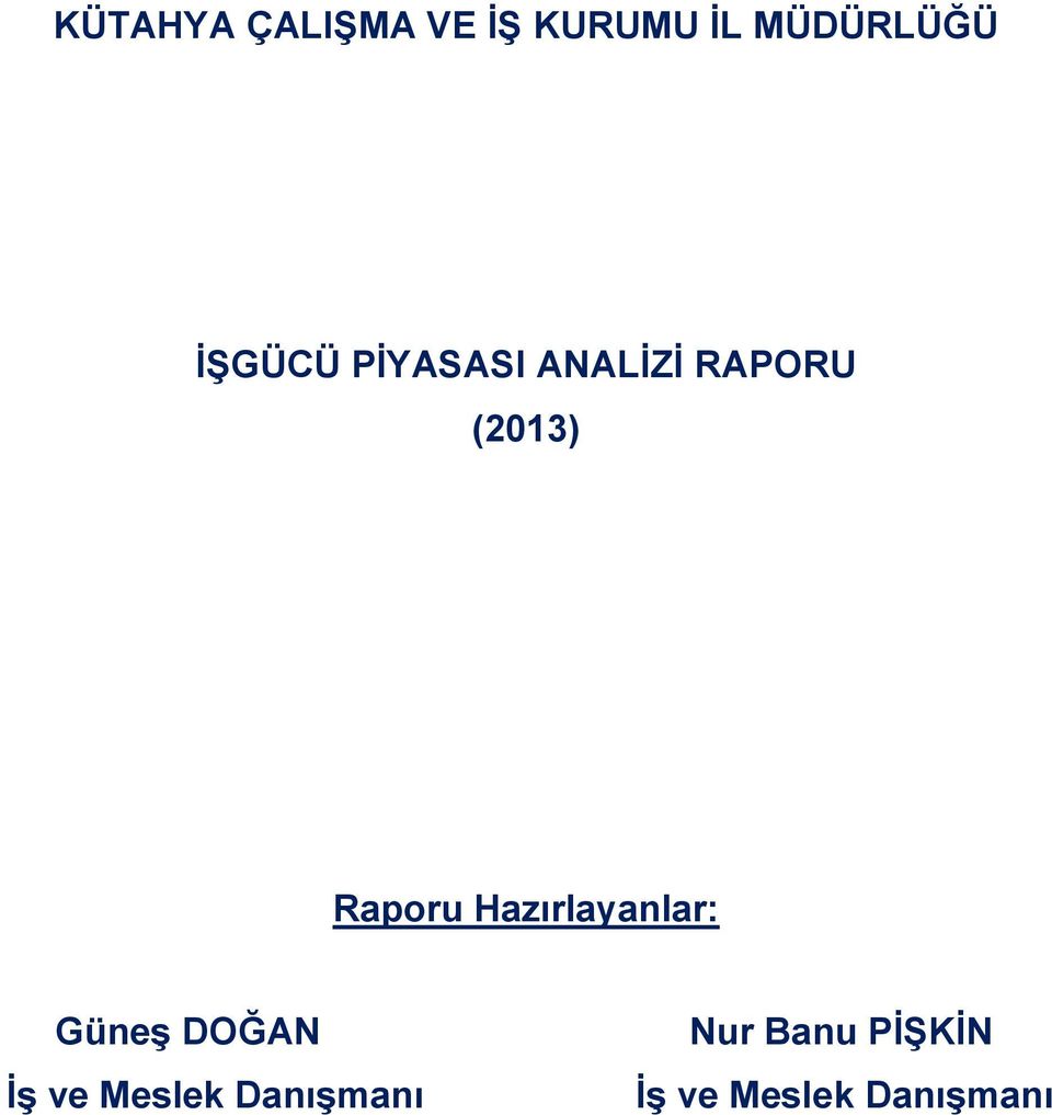 Raporu Hazırlayanlar: Güneş DOĞAN İş ve