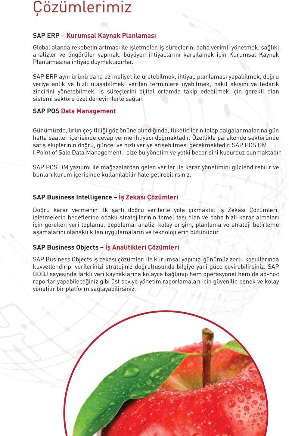 SAP ERP aynı ürünü daha az maliyet ile üretebilmek, ihtiyaç planlaması yapabilmek, doğru veriye anlık ve hızlı ulaşabilmek, verilen terminlere uyabilmek, nakit akışını ve tedarik zincirini