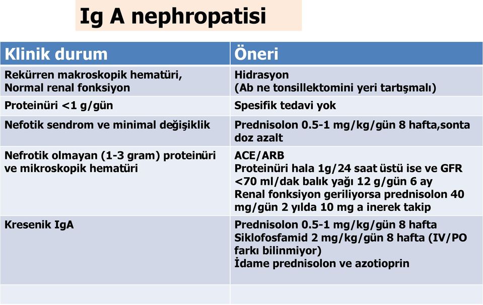 5-1 mg/kg/gün 8 hafta,sonta doz azalt ACE/ARB Proteinüri hala 1g/24 saat üstü ise ve GFR <70 ml/dak balık yağı 12 g/gün 6 ay Renal fonksiyon geriliyorsa