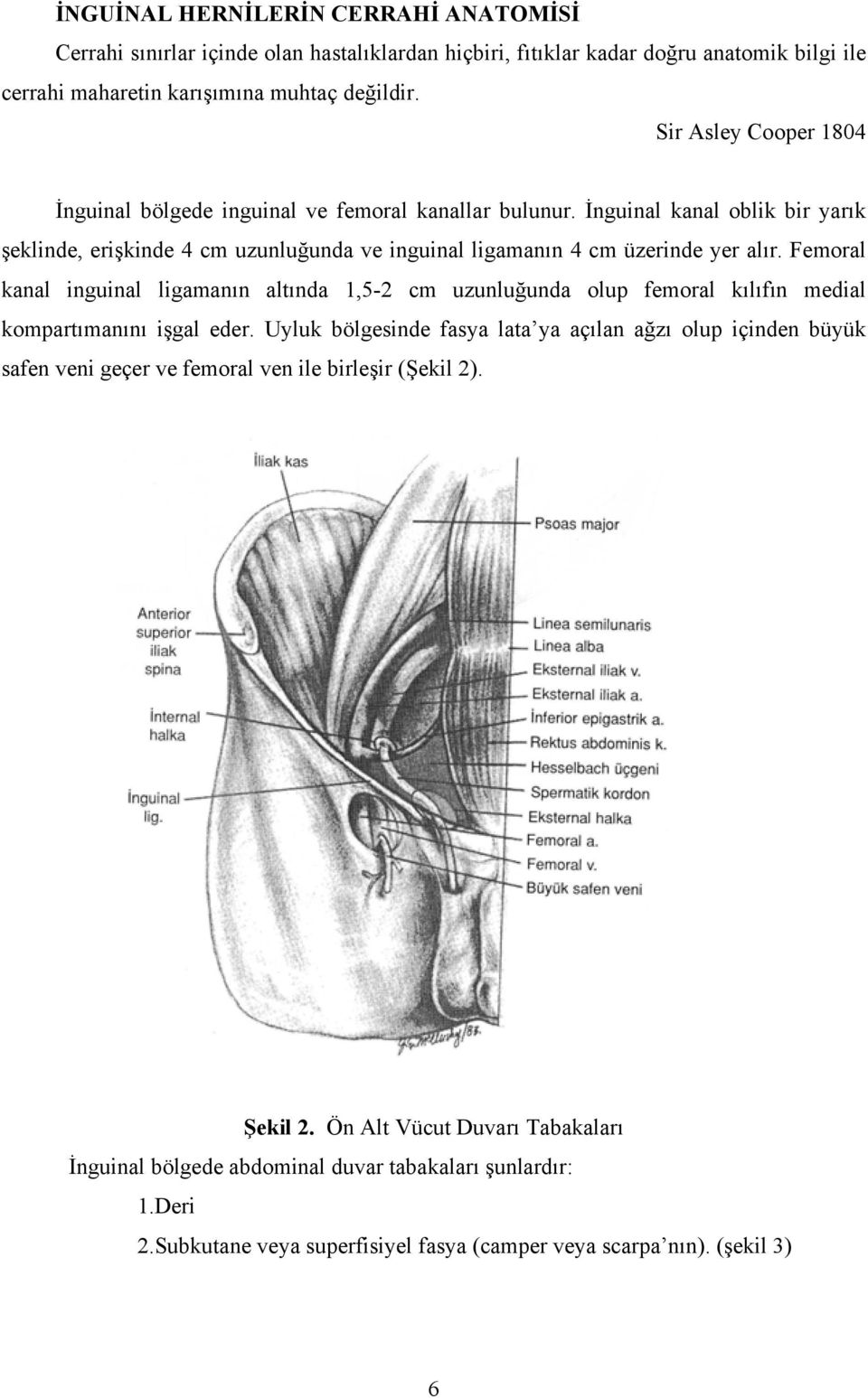 Femoral kanal inguinal ligamanın altında 1,5-2 cm uzunluğunda olup femoral kılıfın medial kompartımanını işgal eder.