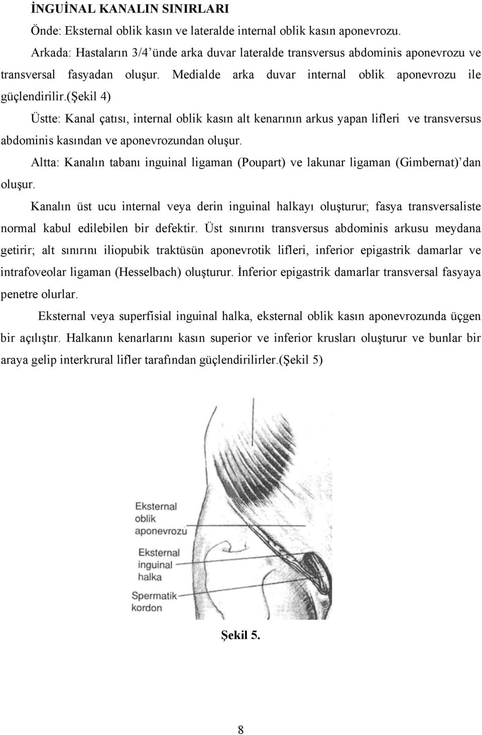 (şekil 4) Üstte: Kanal çatısı, internal oblik kasın alt kenarının arkus yapan lifleri ve transversus abdominis kasından ve aponevrozundan oluşur.