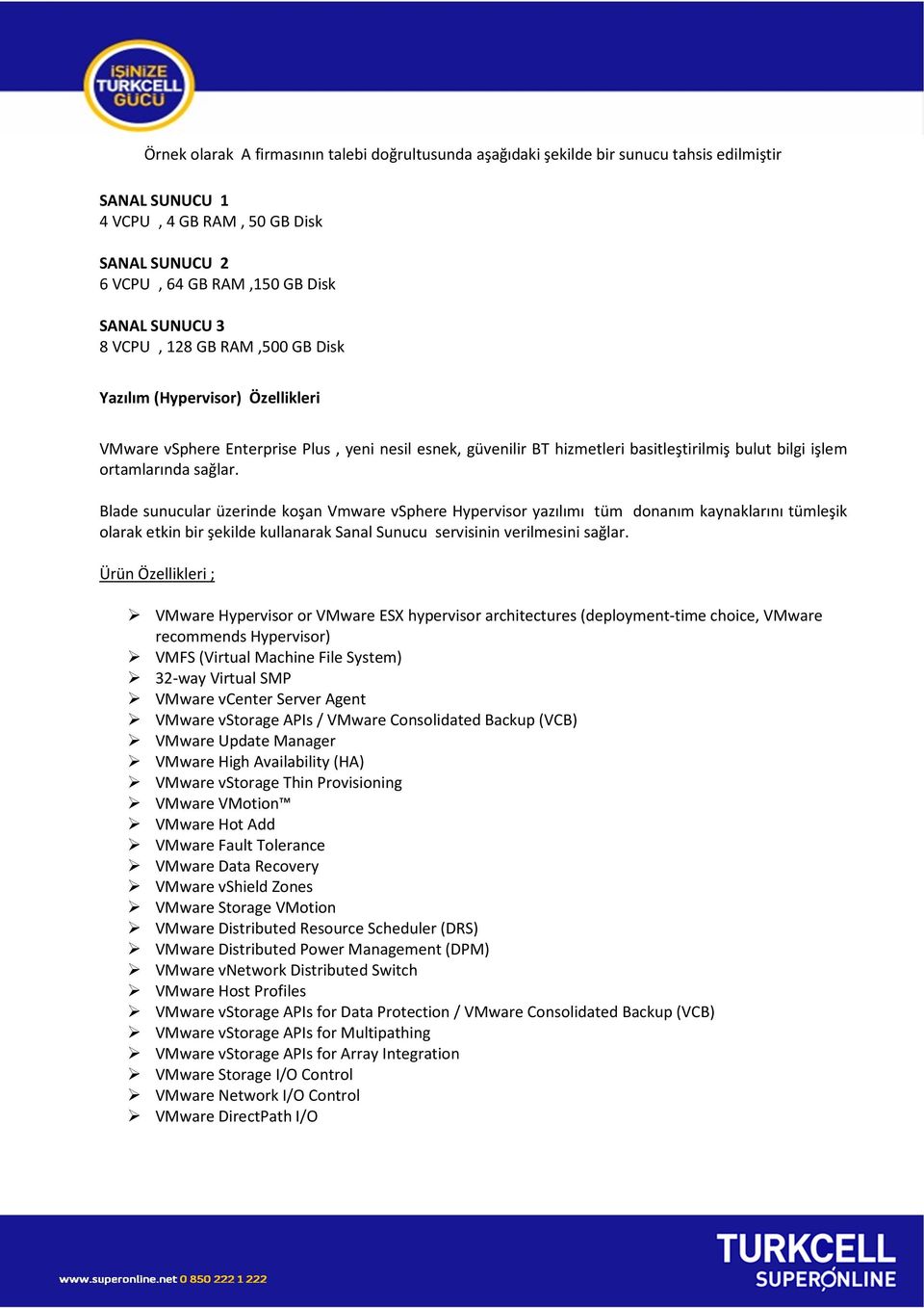 Blade sunucular üzerinde koşan Vmware vsphere Hypervisor yazılımı tüm donanım kaynaklarını tümleşik olarak etkin bir şekilde kullanarak Sanal Sunucu servisinin verilmesini sağlar.