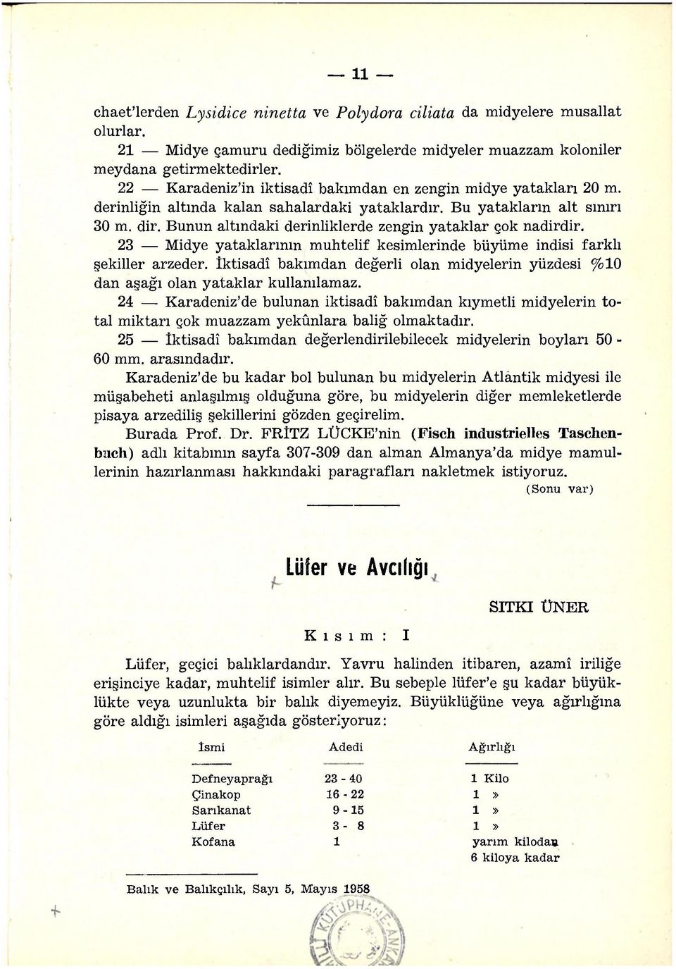 Bunun altındaki derinliklerde zengin yataklar çok nadirdir. 23 Midye yataklarının muhtelif kesimlerinde büyüme indisi farklı şekiller arzeder.