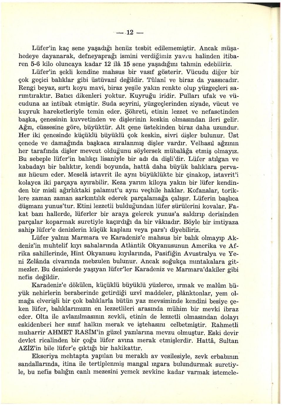 Lüfer'in şekli kendine mahsus bir vasıf gösterir. Vücudu diğer bir çok geçici balıklar gibi üstüvanî değildir. Tûlanî ve biraz da yassıcadır.