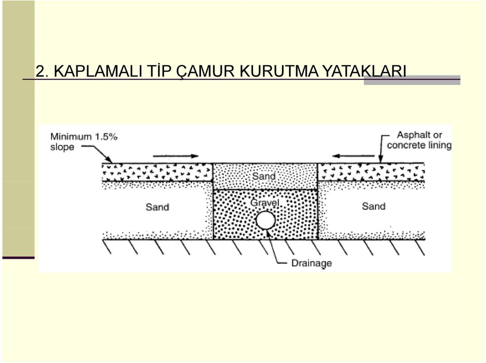 TİP ÇAMUR