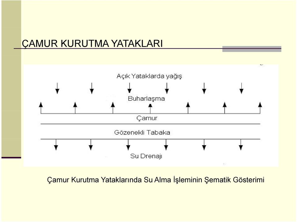 Kurutma Yataklarında