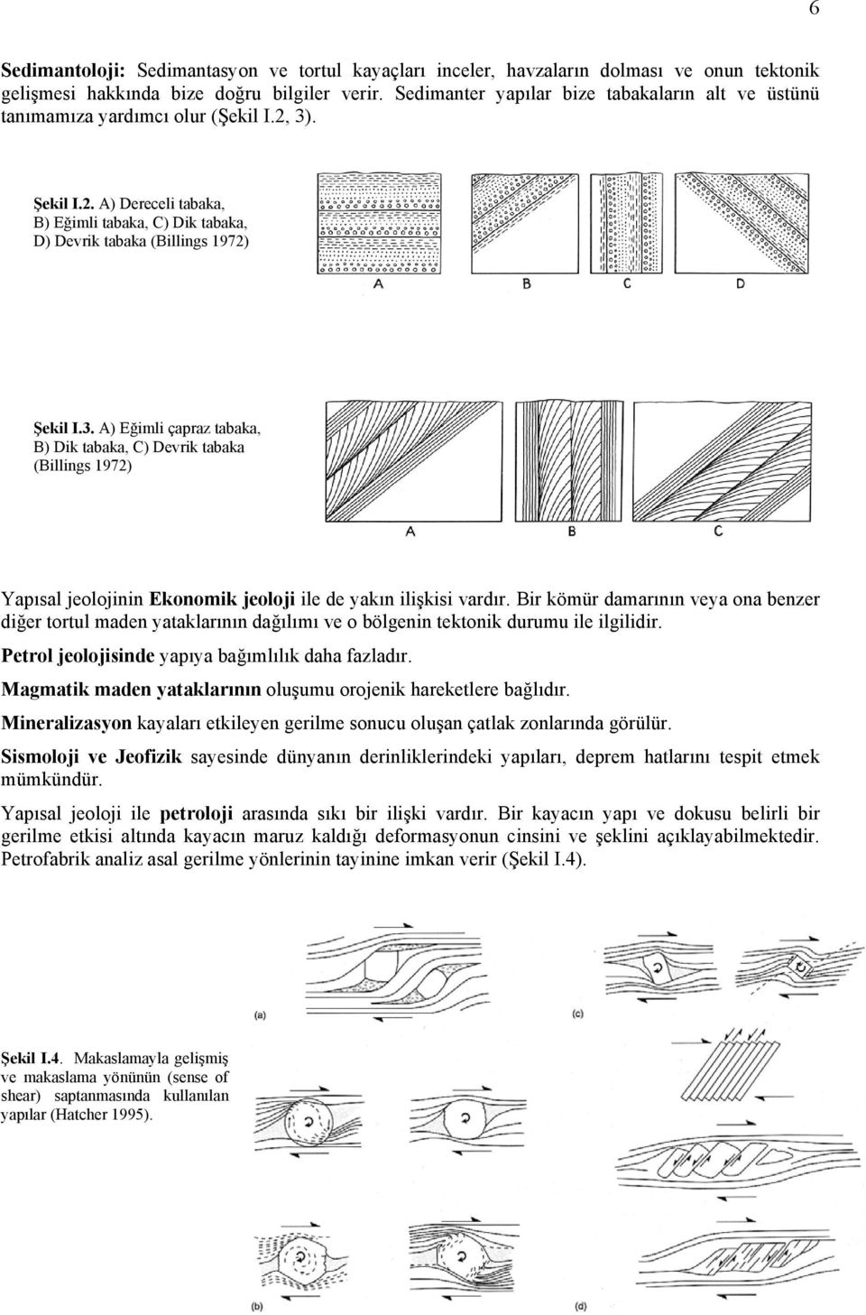 . Şekil I.2. A) Dereceli tabaka, B) Eğimli tabaka, C) Dik tabaka, D) Devrik tabaka (Billings 1972) Şekil I.3.