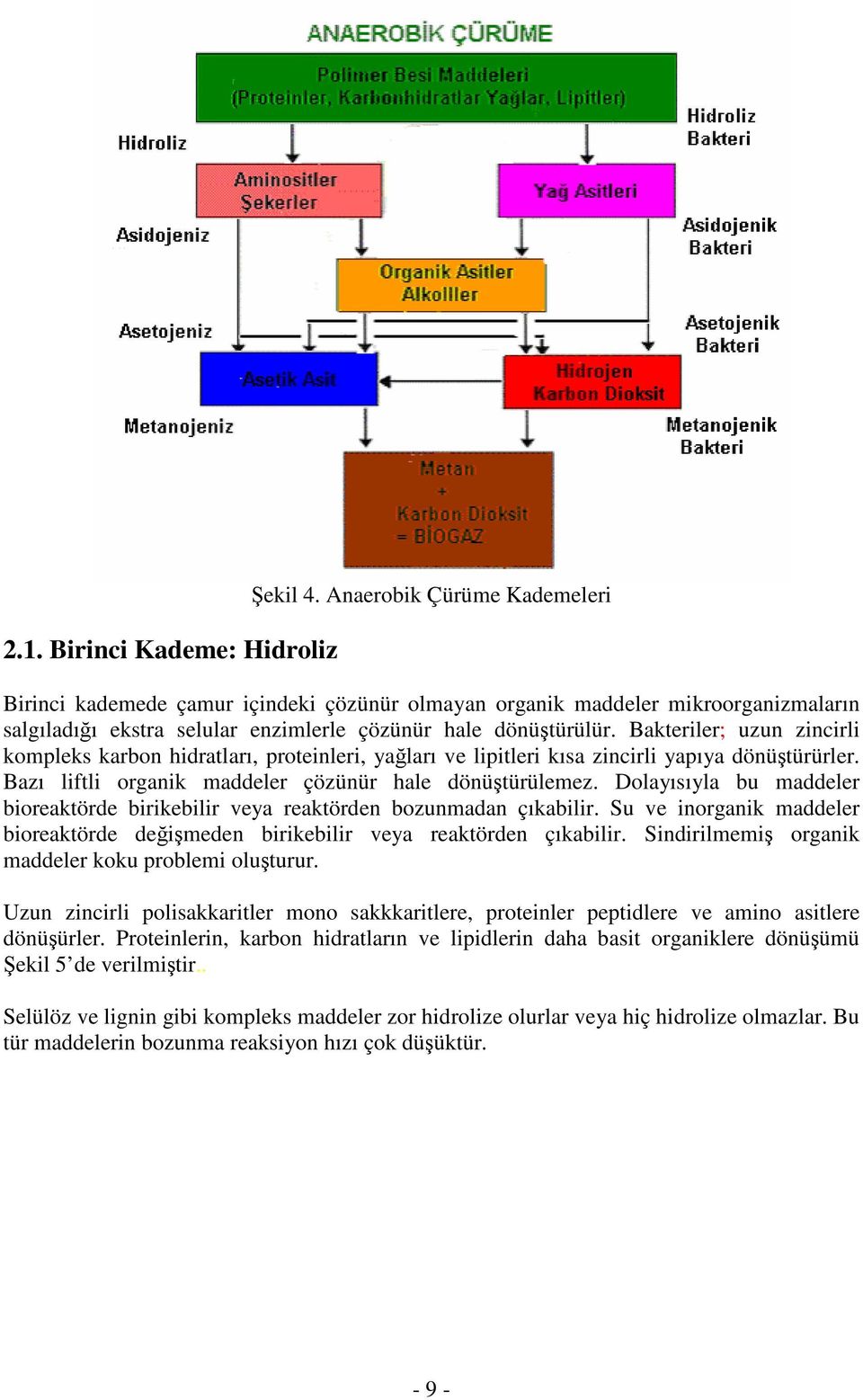 Bakteriler; uzun zincirli kompleks karbon hidratları, proteinleri, yağları ve lipitleri kısa zincirli yapıya dönüştürürler. Bazı liftli organik maddeler çözünür hale dönüştürülemez.