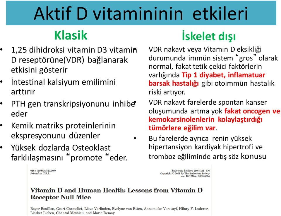 İskelet dışı VDR nakavt veya Vitamin D eksikliği durumunda immün sistem gros olarak normal, fakat tetik çekici faktörlerin varlığında Tip 1 diyabet, inflamatuar barsak hastalığı gibi