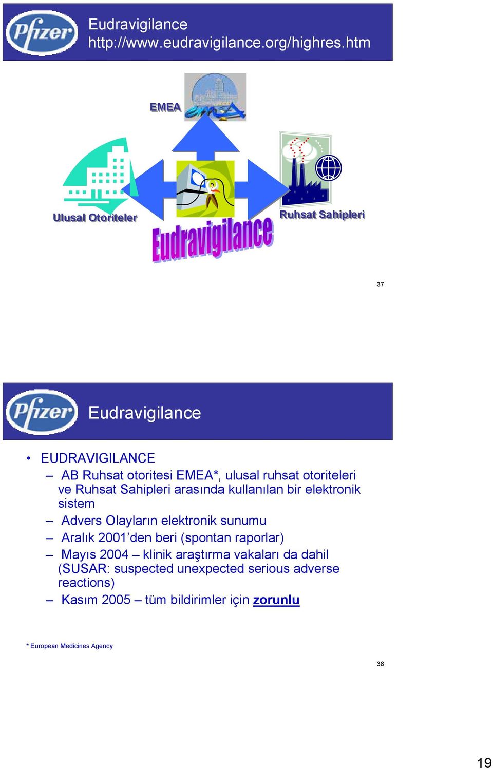 otoriteleri ve Ruhsat Sahipleri arasında kullanılan bir elektronik sistem Advers Olayların elektronik sunumu Aralık 2001