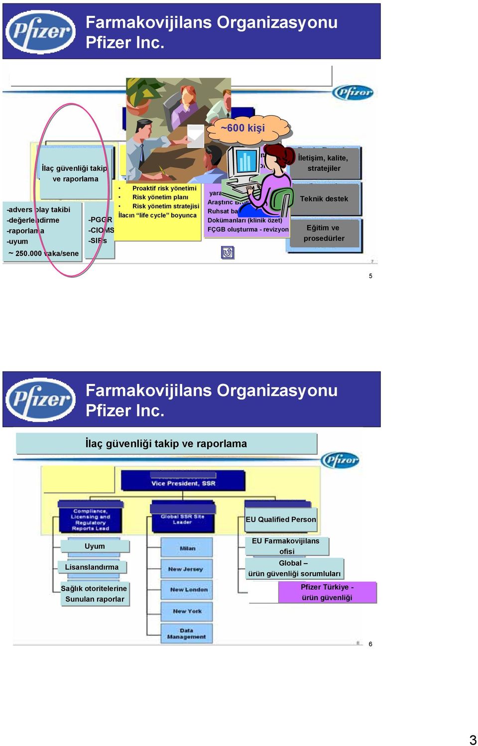 Araştırıc -advers olay takibi Risk yönetim stratejisi Broşürü Ruhsat İlacın life cycle boyunca başvurusu -değerlendirme -PGGR Dokümanları (klinik özet) -raporlama -CIOMS FÇGB oluşturma -