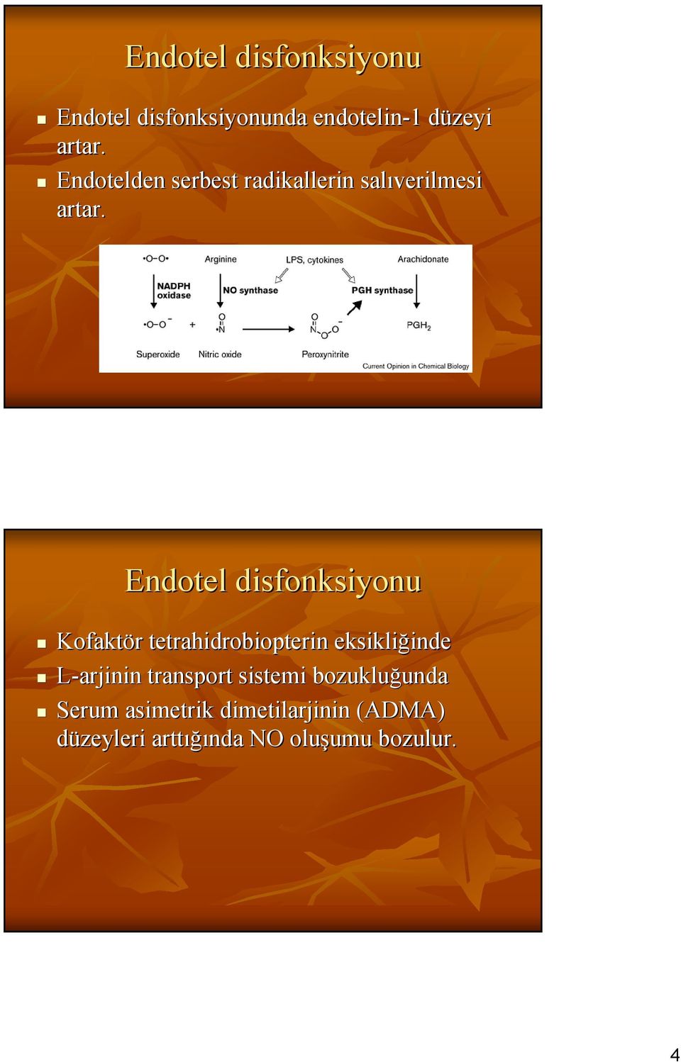 Endotel disfonksiyonu Kofaktör tetrahidrobiopterin eksikliğinde L-arjinin