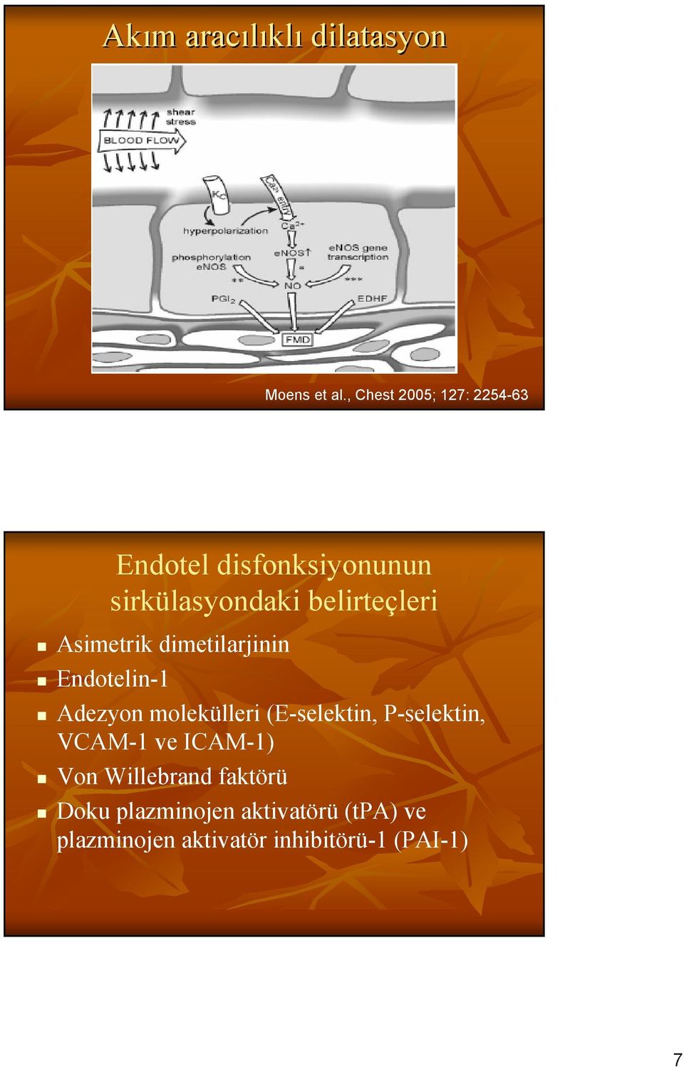 Asimetrik dimetilarjinin Endotelin-1 Adezyon molekülleri (E-selektin,