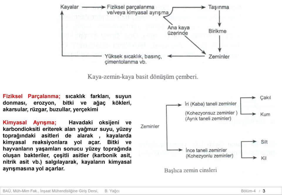 reaksiyonlara yol açar.