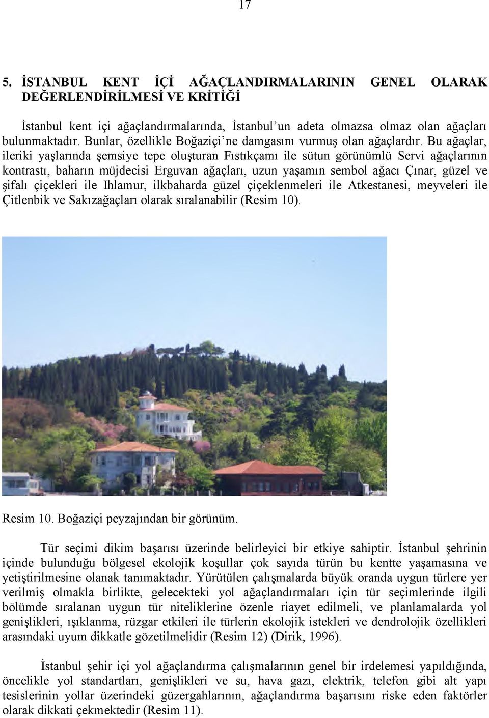 Bu ağaçlar, ileriki yaşlarında şemsiye tepe oluşturan Fıstıkçamı ile sütun görünümlü Servi ağaçlarının kontrastı, baharın müjdecisi Erguvan ağaçları, uzun yaşamın sembol ağacı Çınar, güzel ve şifalı