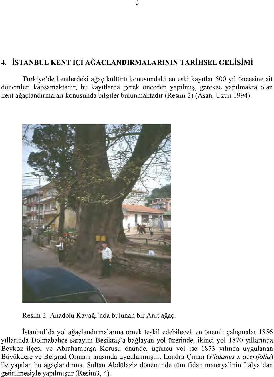 İstanbul da yol ağaçlandırmalarına örnek teşkil edebilecek en önemli çalışmalar 1856 yıllarında Dolmabahçe sarayını Beşiktaş a bağlayan yol üzerinde, ikinci yol 1870 yıllarında Beykoz ilçesi ve