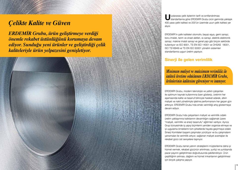 Uluslararası çelik tiplerinin tarifi ve sınıflandırılması standartlarına göre ERDEMİR Grubu ürün gamında yaklaşık 400 yassı çelik kalitesi ve 200 ün üzerinde uzun çelik kalitesi yer alıyor.
