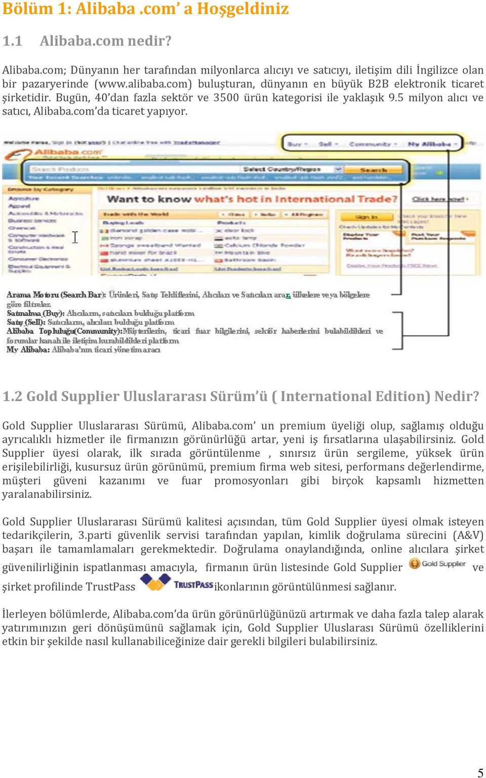 2 Gold Supplier Uluslararası Sürüm ü ( International Edition) Nedir? Gold Supplier Uluslararası Sürümü, Alibaba.