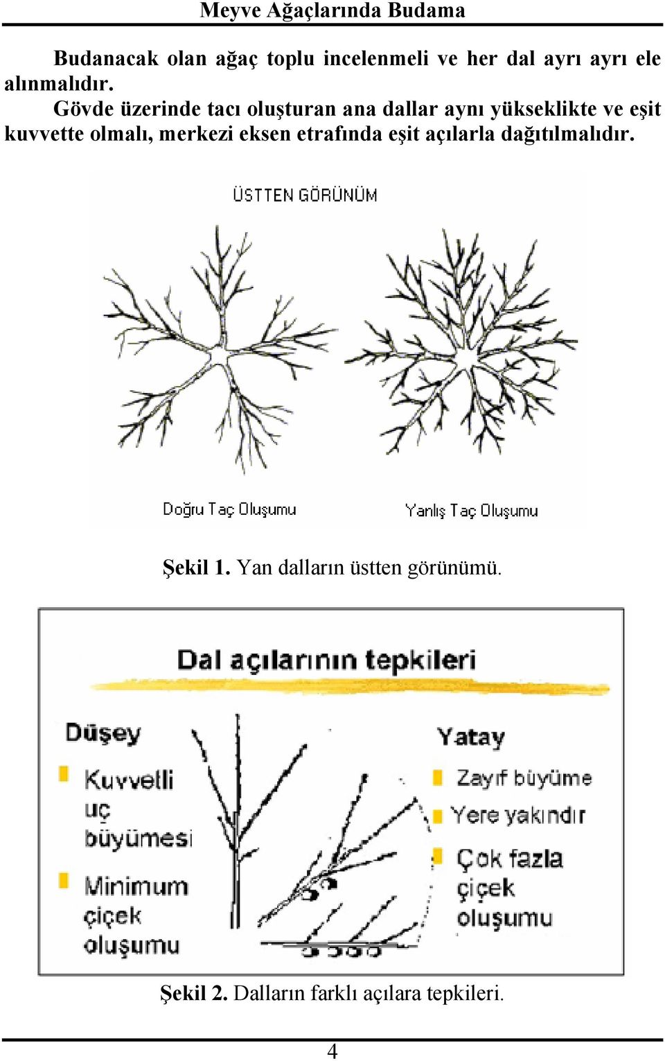 olmalı, merkezi eksen etrafında eşit açılarla dağıtılmalıdır. Şekil 1.