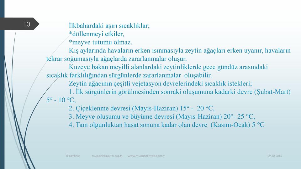 Kuzeye bakan meyilli alanlardaki zeytinliklerde gece gündüz arasındaki sıcaklık farklılığından sürgünlerde zararlanmalar oluşabilir.