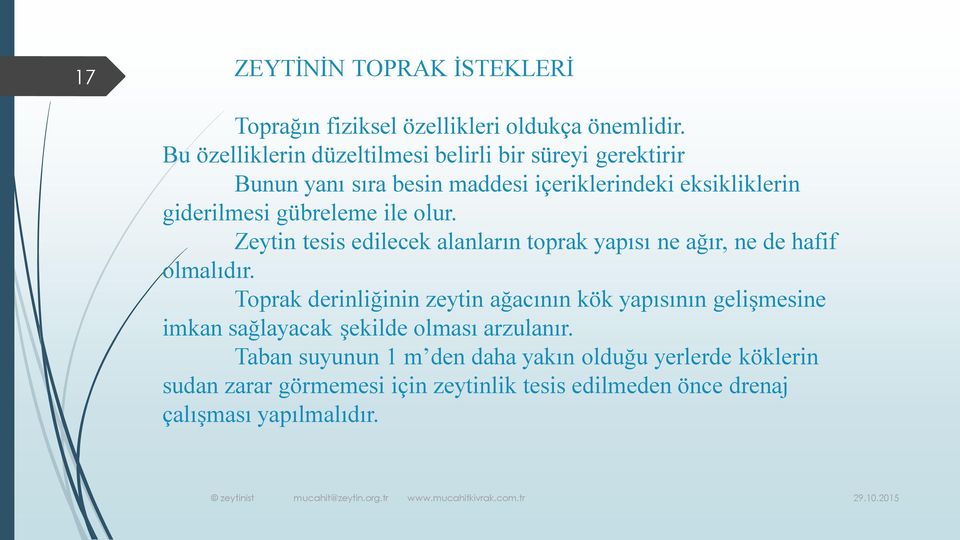 gübreleme ile olur. Zeytin tesis edilecek alanların toprak yapısı ne ağır, ne de hafif olmalıdır.