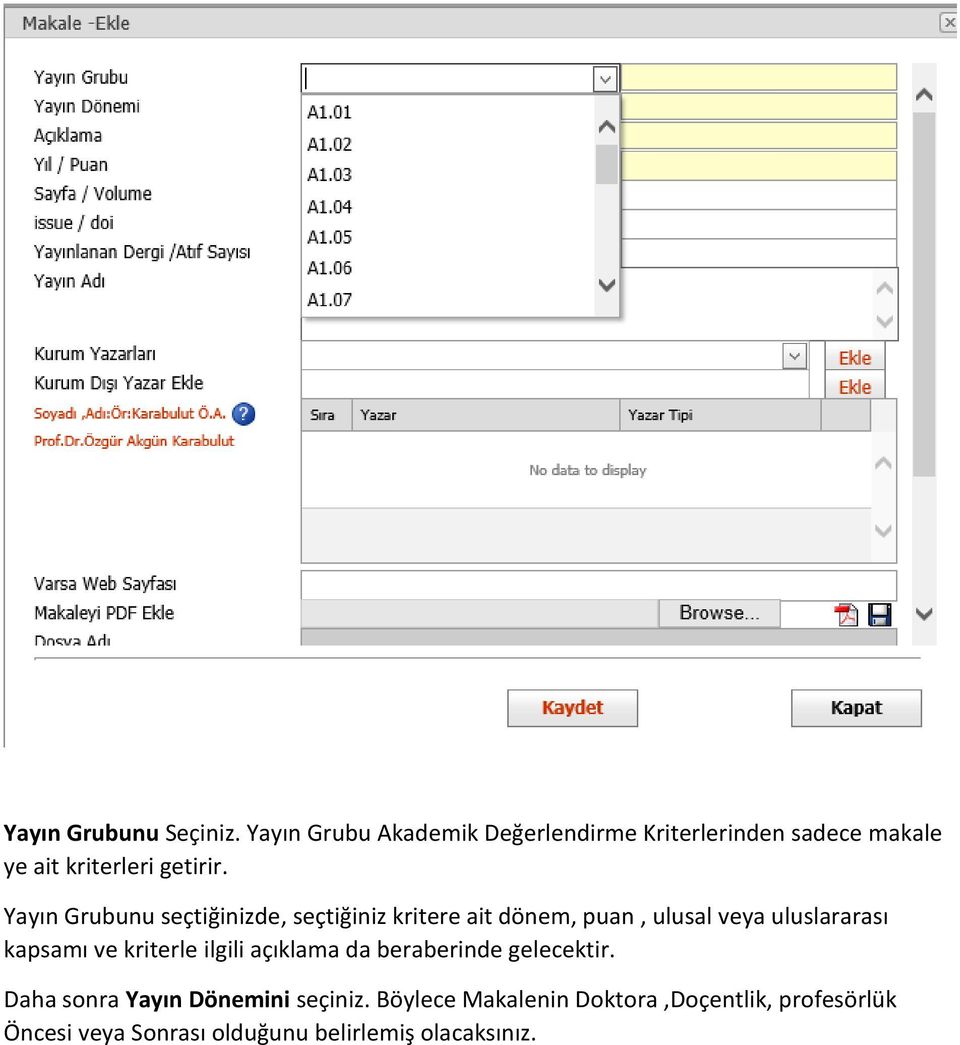 Yayın Grubunu seçtiğinizde, seçtiğiniz kritere ait dönem, puan, ulusal veya uluslararası kapsamı ve