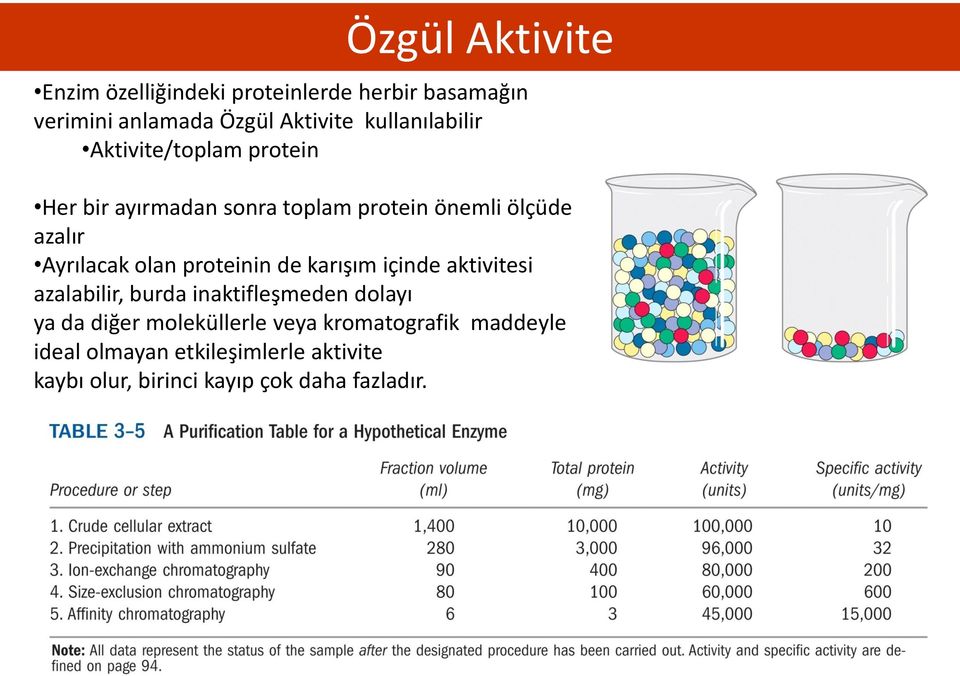 Ayrılacak olan proteinin de karışım içinde aktivitesi azalabilir, burda inaktifleşmeden dolayı ya da diğer