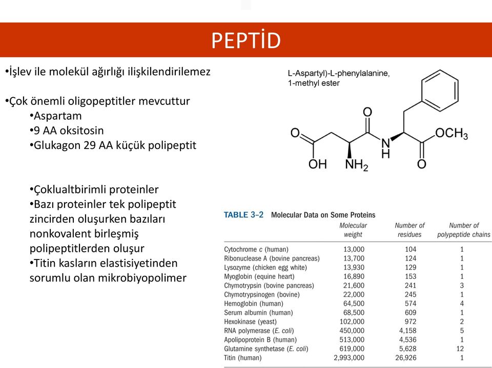 ester Çoklualtbirimli proteinler Bazı proteinler tek polipeptit zincirden oluşurken bazıları