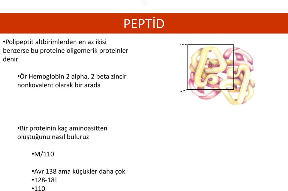 nonkovalent olarak bir arada PEPTİD Bir proteinin kaç