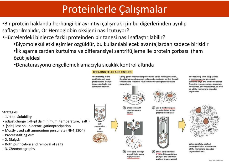 Biyomolekül etkileşimler özgüldür, bu kullanılabilecek avantajlardan sadece birisidir İlk aşama zardan kurtulma ve differansiyel santrifüjleme ile protein çorbası (ham özüt )eldesi