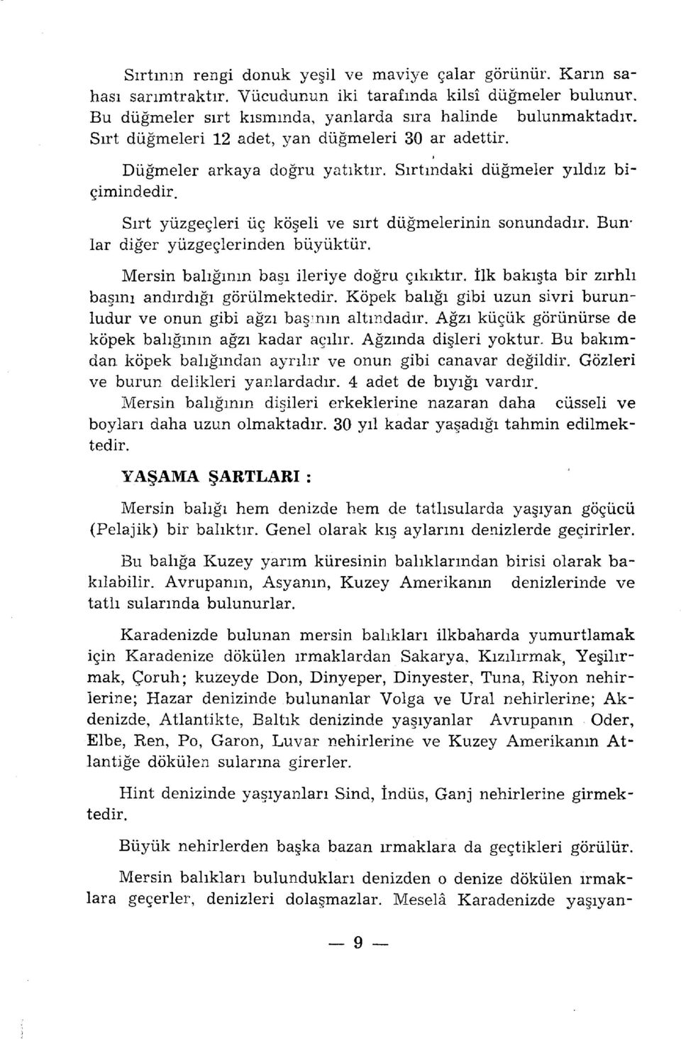 Bunlar diğer yüzgeçlerinden büyüktür. Mersin balığının başı ileriye doğru çıkıktır. İlk bakışta bir zırhlı başını andırdığı görülmektedir.