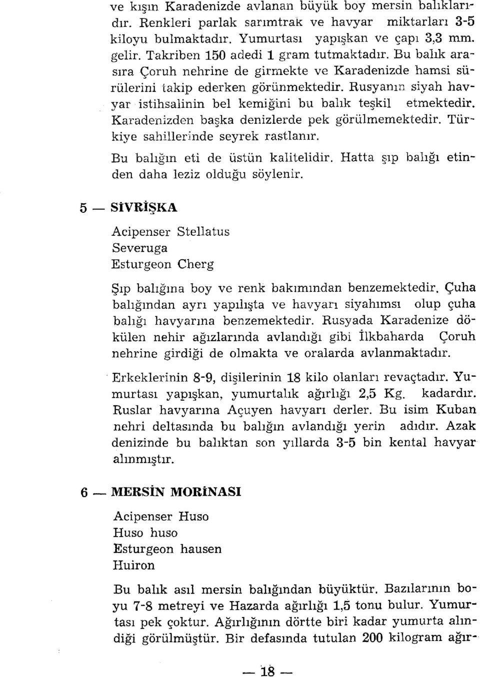 Rusyanm siyah havyar istihsalinin bel kemiğini bu balık teşkil etmektedir. Karadenizden başka denizlerde pek görülmemektedir. Türkiye sahillerinde seyrek rastlanır.