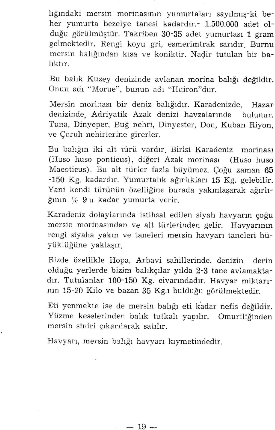 Onun adı "Morue", bunun adı ''Huiron"dur. Mersin morinası bir deniz balığıdır. Karadenizde, Hazar denizinde, Adriyatik Azak denizi havzalarında bulunur.