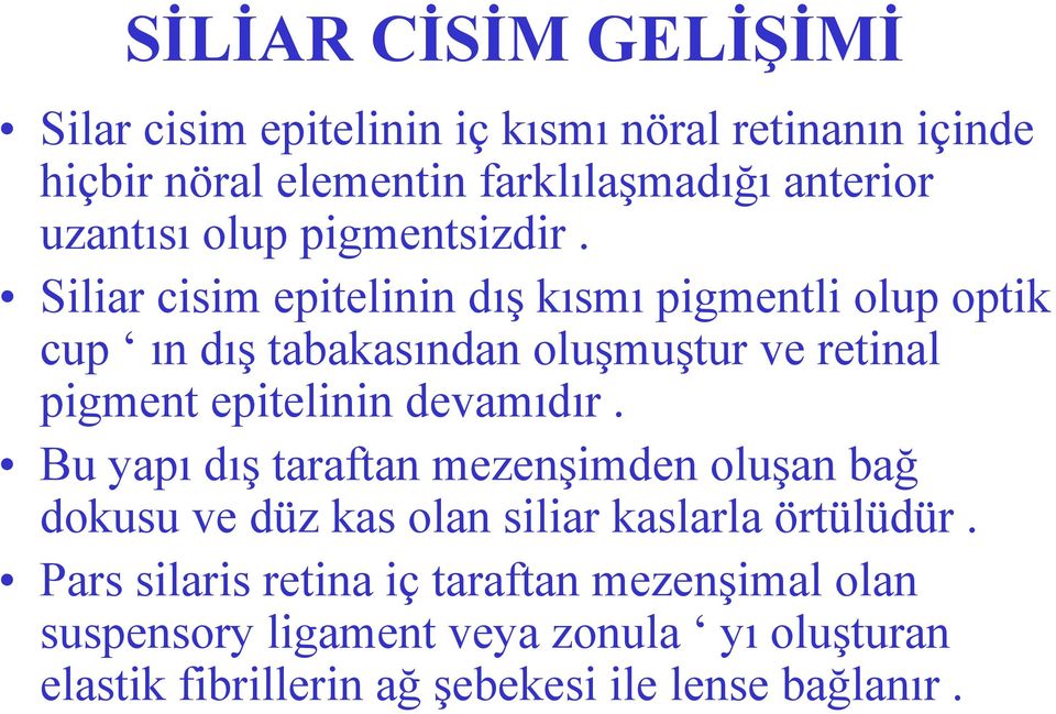 Siliar cisim epitelinin dış kısmı pigmentli olup optik cup ın dış tabakasından oluşmuştur ve retinal pigment epitelinin devamıdır.