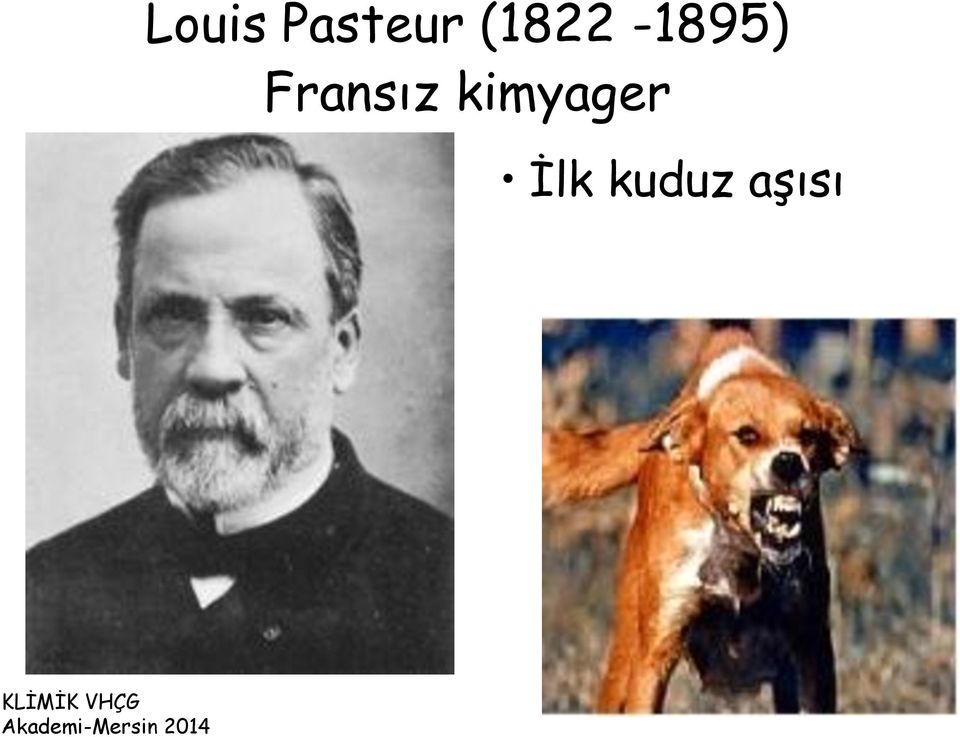 Fransız