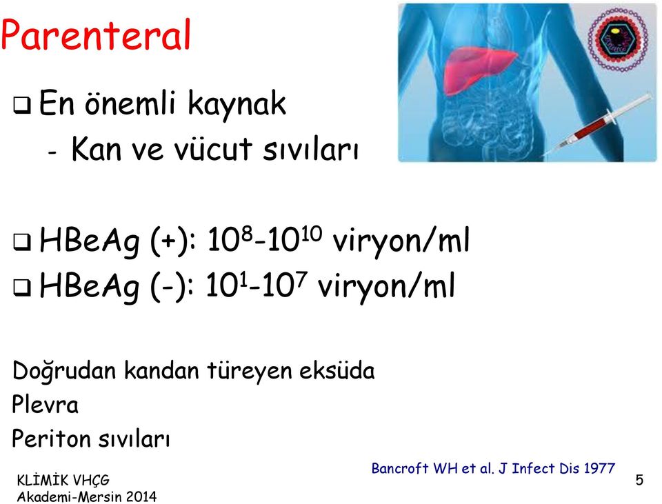 7 viryon/ml Doğrudan kandan türeyen eksüda Plevra