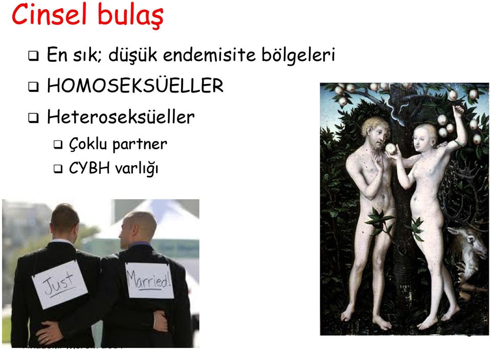 HOMOSEKSÜELLER