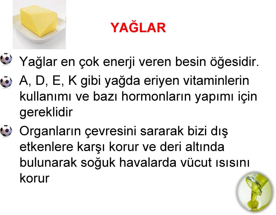 hormonların yapımı için gereklidir Organların çevresini sararak