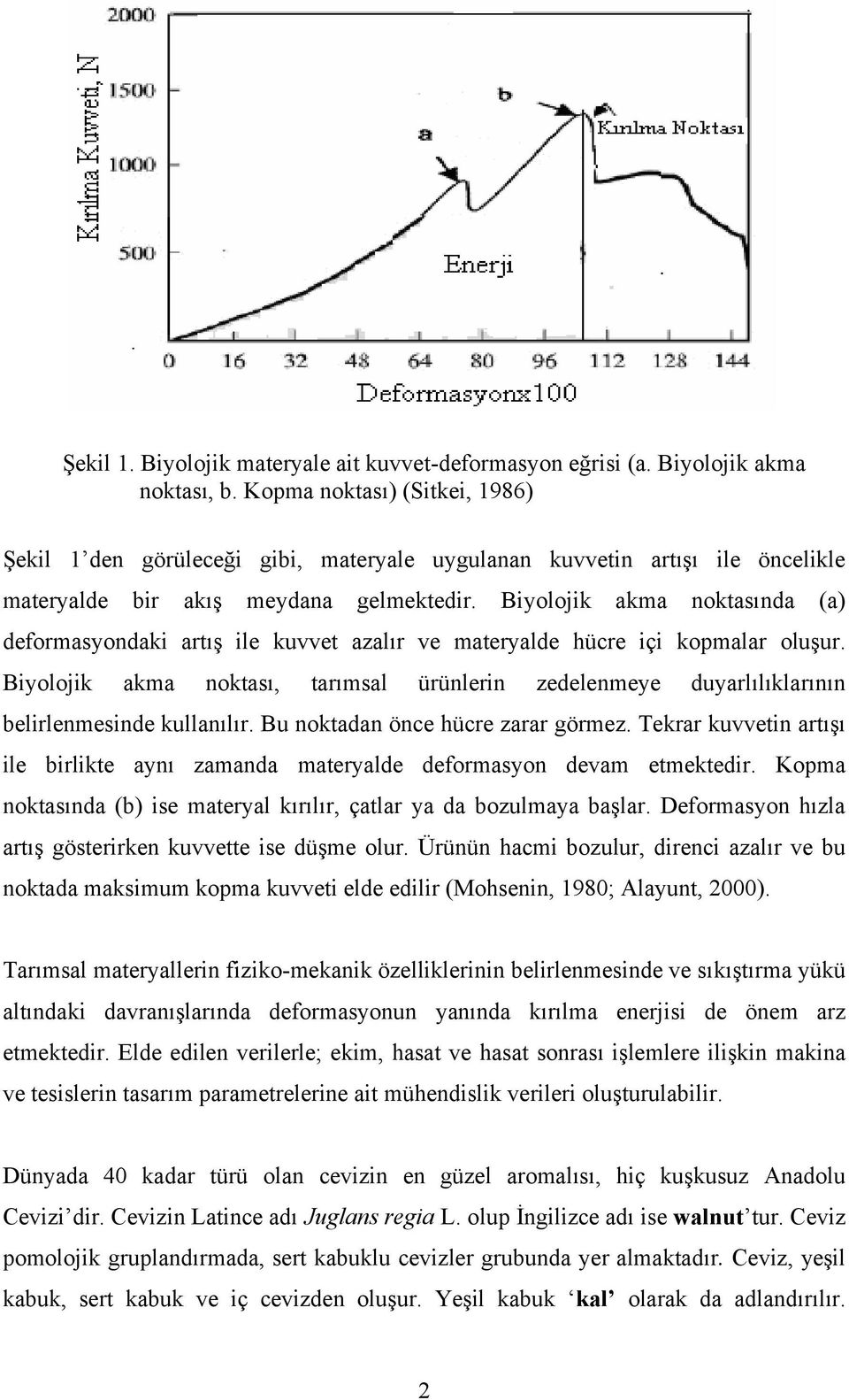 Biyolojik akma noktasında (a) deformasyondaki artış ile kuvvet azalır ve materyalde hücre içi kopmalar oluşur.