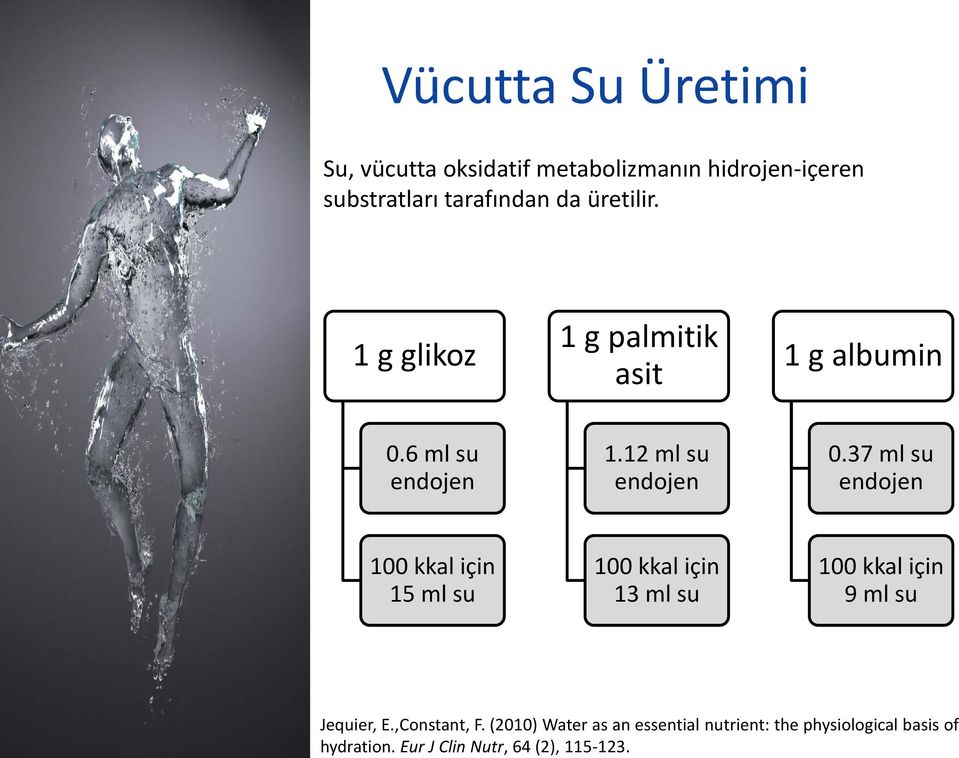 Vücutta Su Üretimi Su, vücutta oksidatif metabolizmanın hidrojen-içeren substratları tarafından da