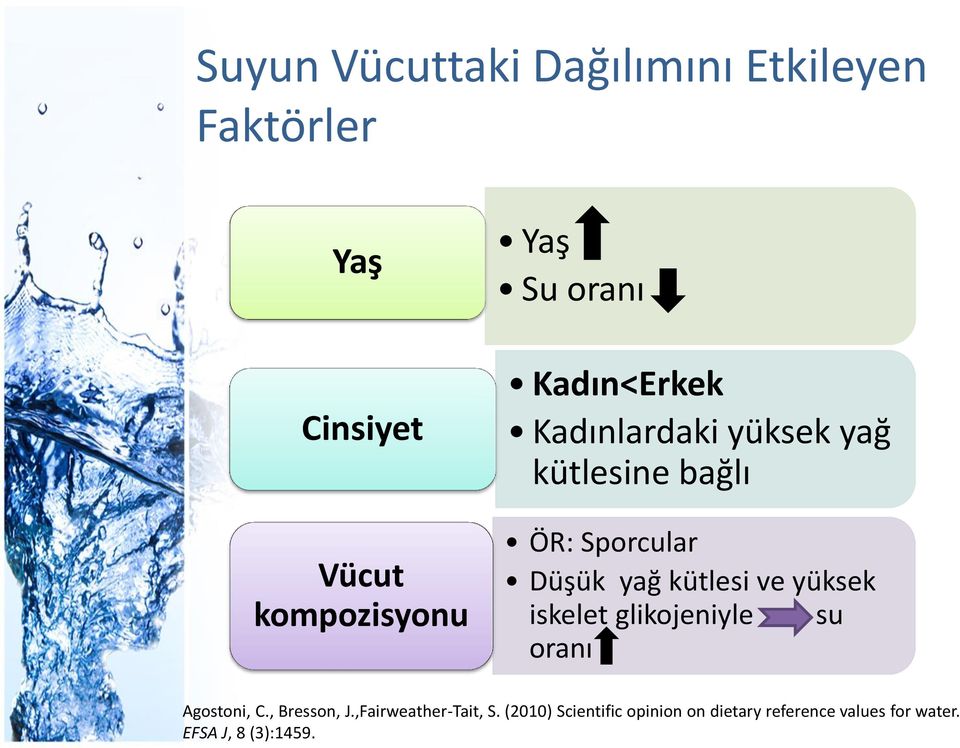 kütlesi ve yüksek iskelet glikojeniyle su oranı Agostoni, C., Bresson, J.