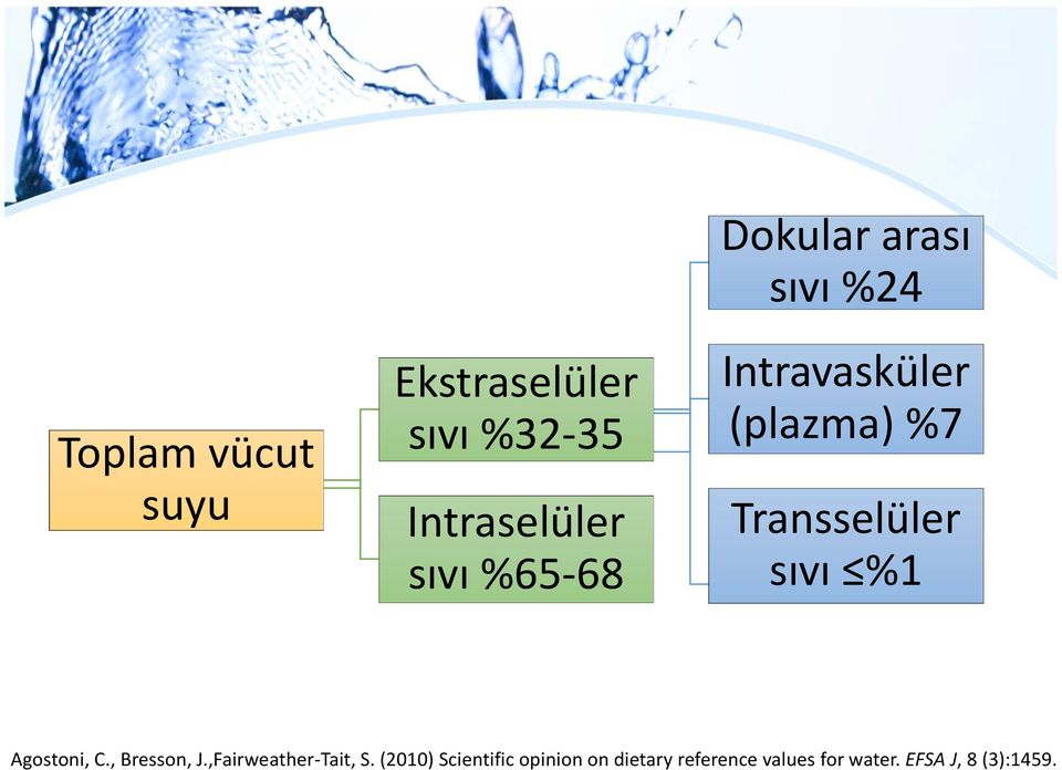 Transselüler sıvı %1 Agostoni, C., Bresson, J.,Fairweather-Tait, S.