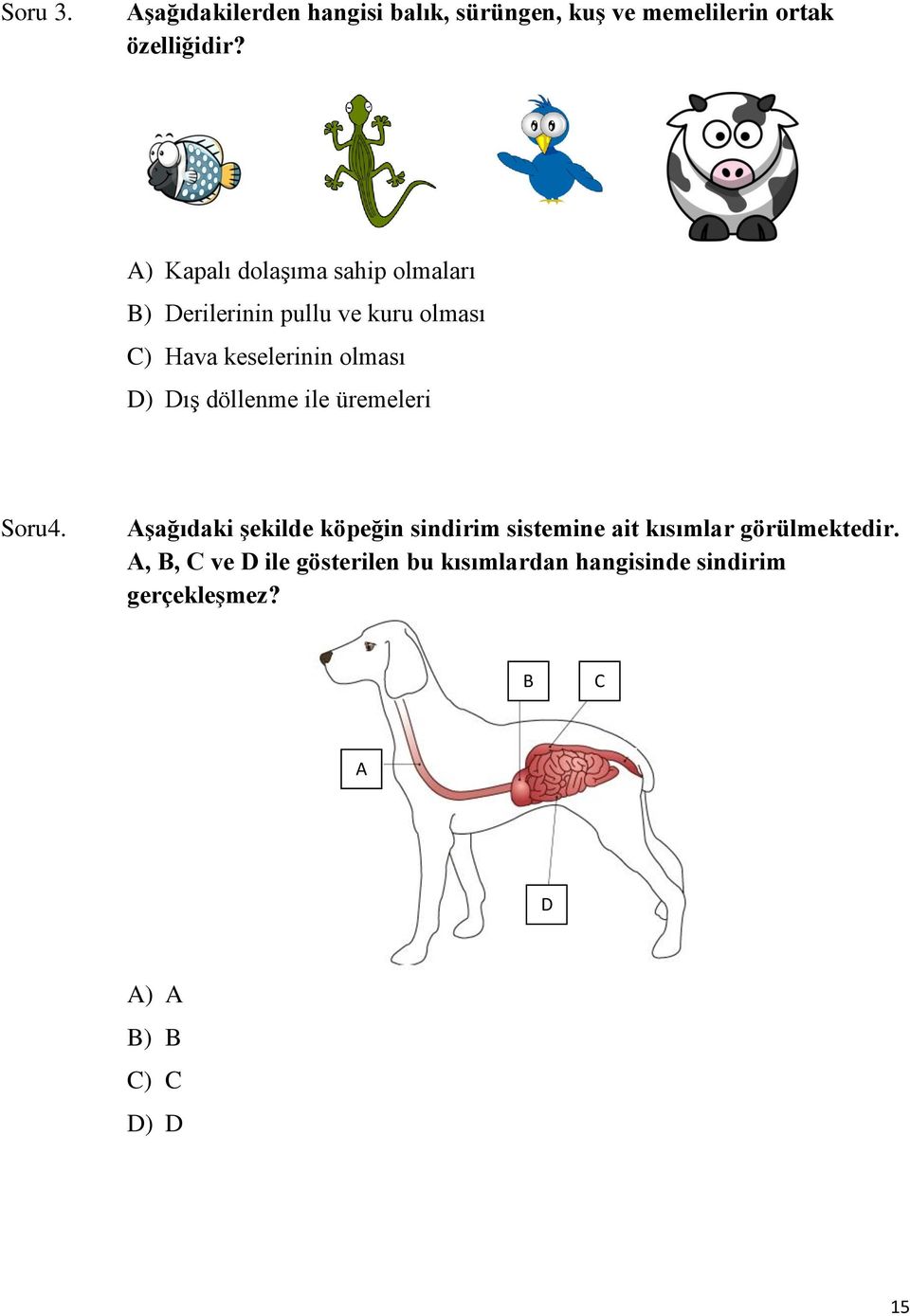 Dış döllenme ile üremeleri Soru4.