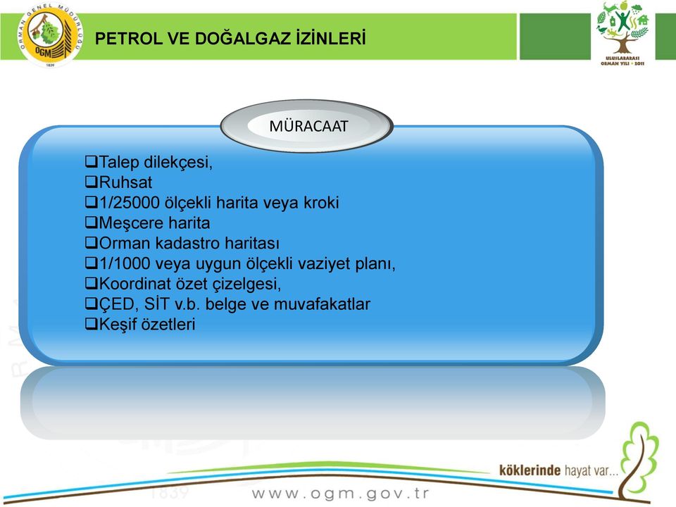 haritası 1/1000 veya uygun ölçekli vaziyet planı, Koordinat