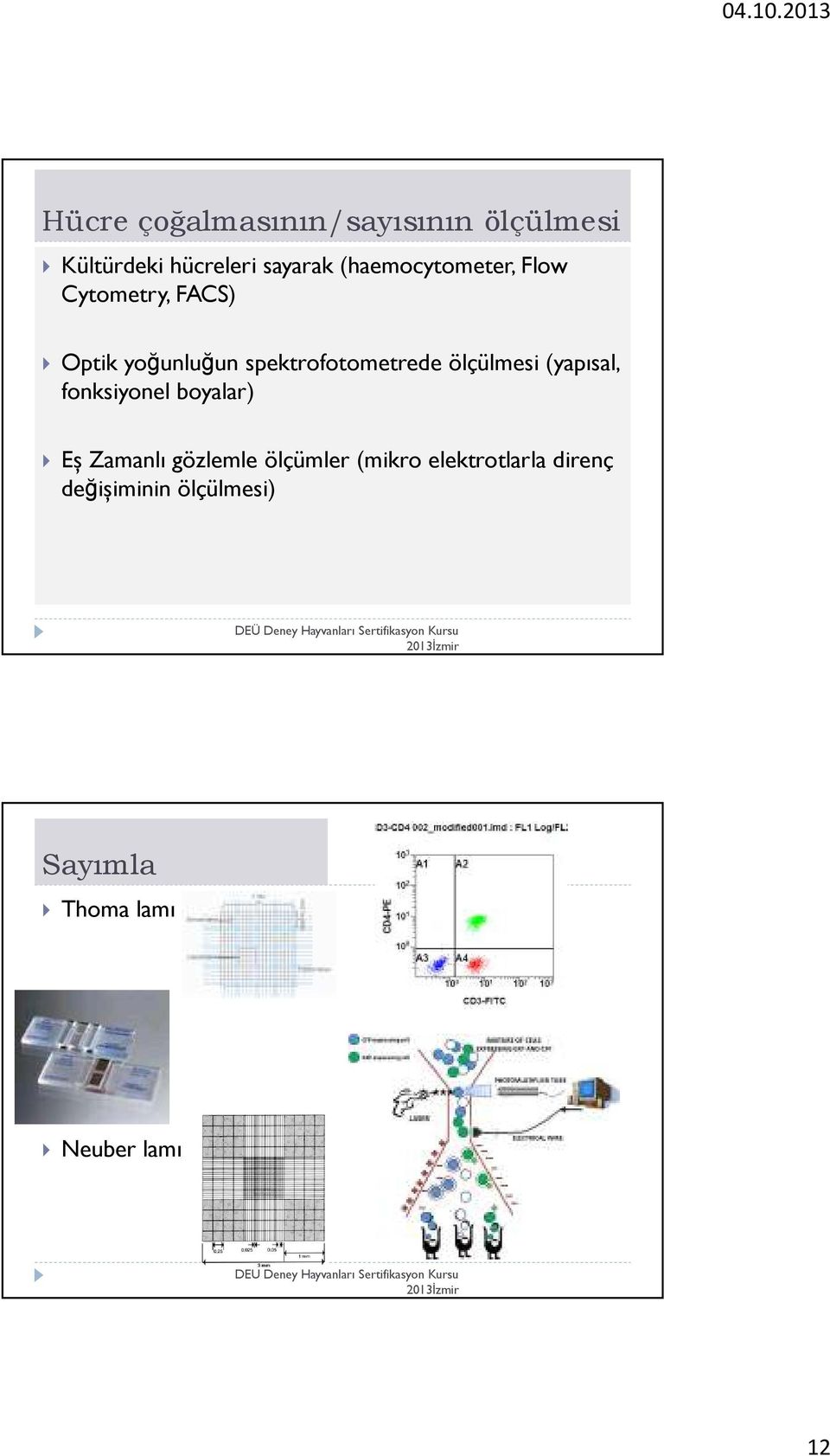 ölçülmesi (yapısal, fonksiyonel boyalar) Eș Zamanlı gözlemle ölçümler