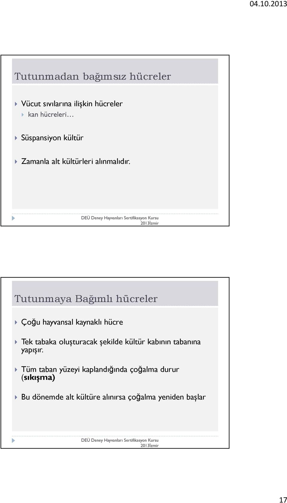 Tutunmaya Bağımlı hücreler Çoğu hayvansal kaynaklı hücre Tek tabaka olușturacak șekilde